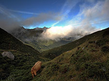 Picos de Europa. Autor: Carlos Díaz García-Carrasco