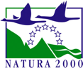 Logo 4