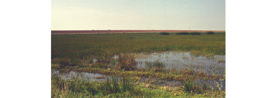 Fotografía de una laguna de agua dulce