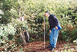 Inventario Forestal