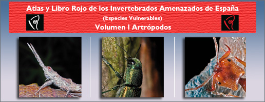 Composición Atlas de Invertebrados de España (Especies Vulnerables ). Volumen I: Artrópodos 