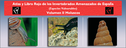 Composición Atlas de Invertebrados de España (Especies Vulnerables ). Volumen II: Moluscos