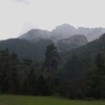 politica_forestal_internacional
