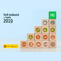 Portada libro PAE 2019