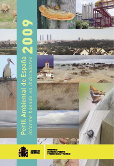 perfil ambiental 2009