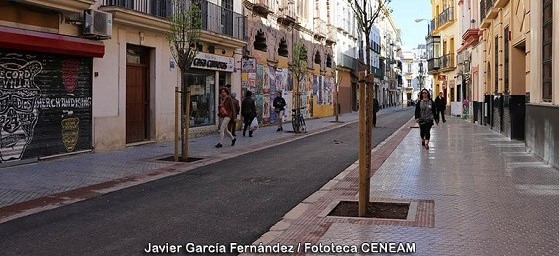 Charca para anfibios