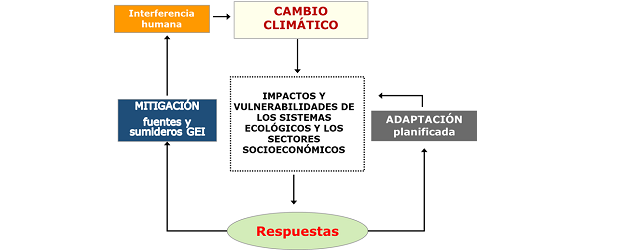Qué Es La Adaptación Al Cambio Climático