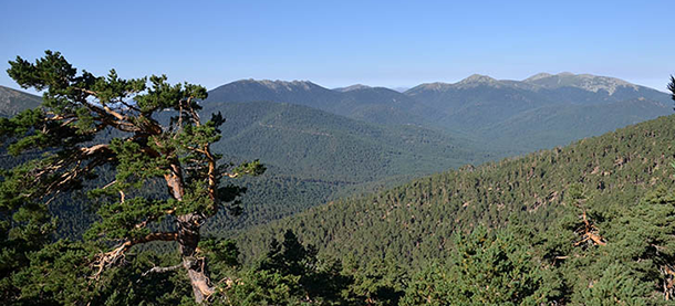 Siete Picos [Mariano Costa Arranz. Fototeca CENEAM]