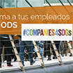 #COMPANIES4SDGs, campaña de comunicación interna y voluntariado para empresas sobre los Objetivos de Desarrollo Sostenible