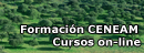 Aula Virtual galleta