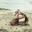 campañas de publicidad verde más creativas: un guante de goma viejo se recoge a sí mismo en una playa
