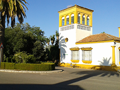 Biblioteca IFAPA Alameda del Obispo (Córdoba)