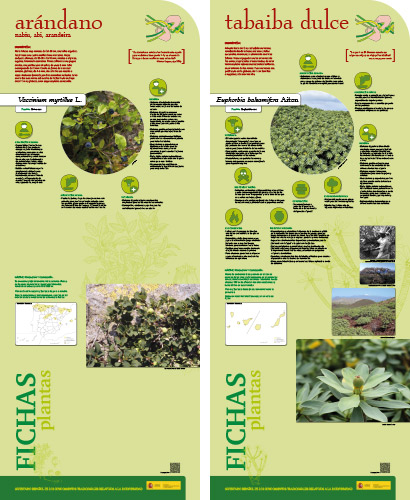 Fase II. Panel 5. Fichas de plantas: arándano - tabaiba dulce