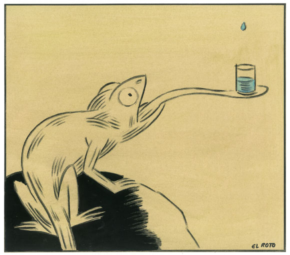 Camaleón que con la lengua sostiene un vaso donde va recogiendo gotas de agua que caen de arriba.