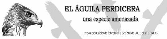 Exposición "EL ÁGUILA PERDICERA"