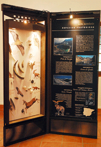 Paneles mostrando animales