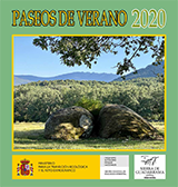 Paseos de Verano 2020