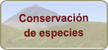 Adaptar al cambio climático el Parque Nacional del Teide: un desafío para la conservación