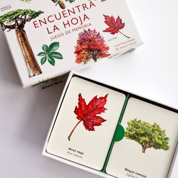 Encuentra la hoja. Juego de memoria