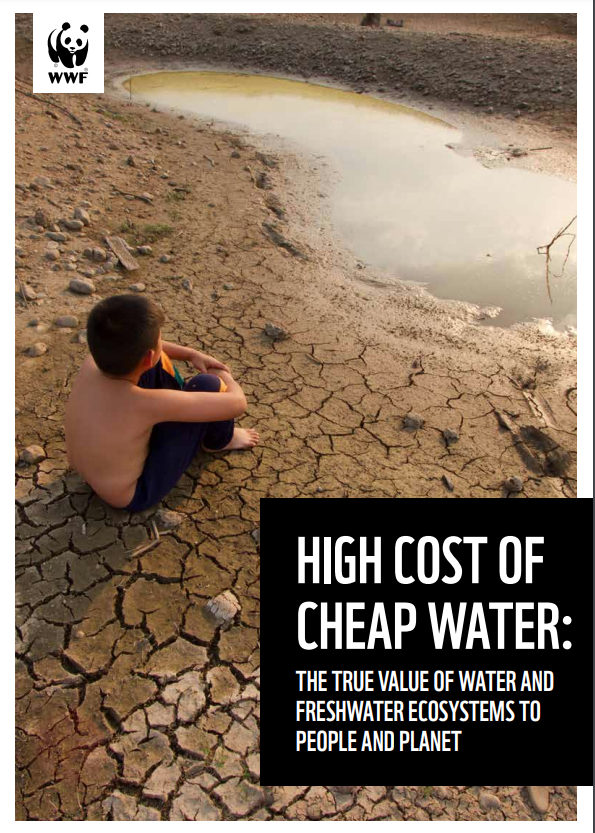 High cost of water