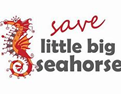 Save the Little Big Seahorses