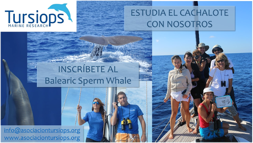 Balearic Sperm Whale, voluntariado en la Asociación Tursiops
