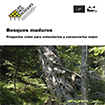 Bosques maduros: preguntas clave para entender y conservar mejor los bosques