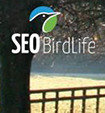 EDUCA SEO