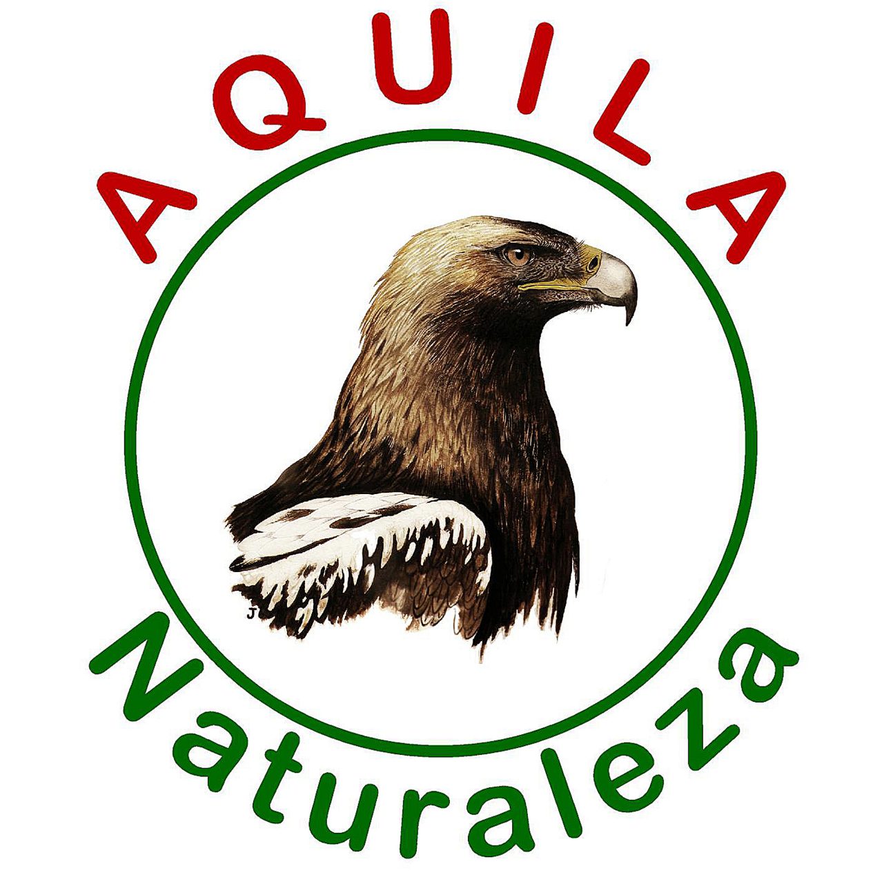 Aquila naturaleza
