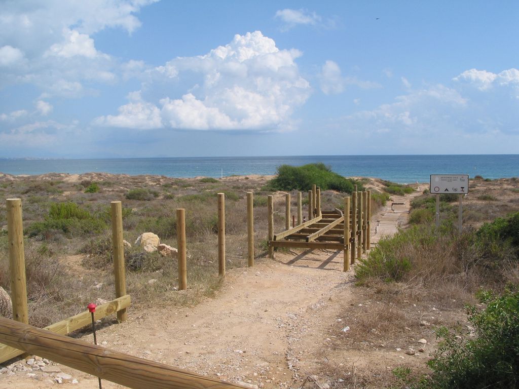 Accesibilidad, acondicionamiento y regeneración en la zona sur de la playa de Arenales del Sol (Elche, Alicante)