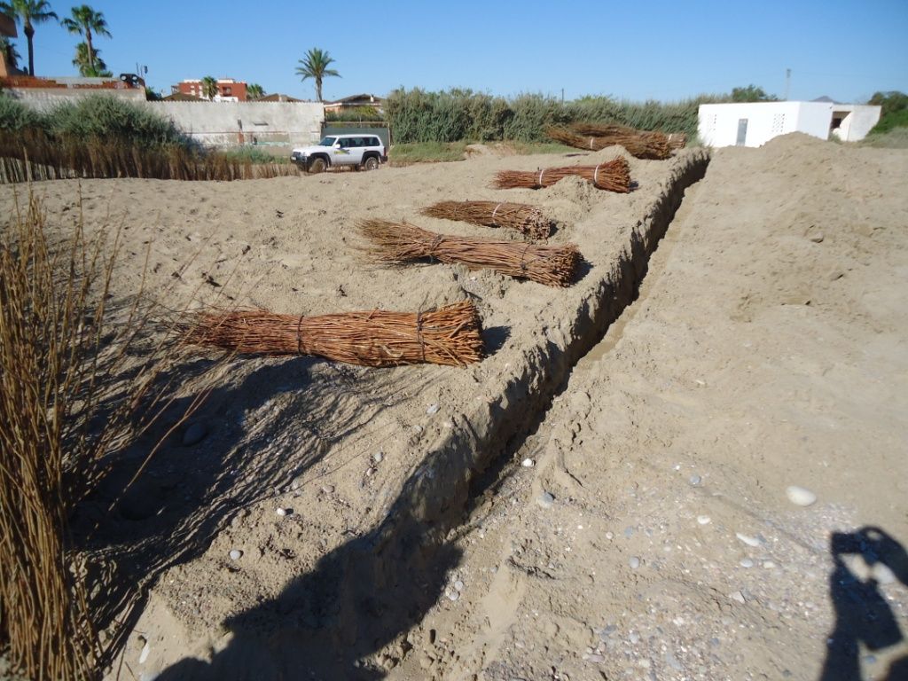 Conservación y mantenimiento de la costa de Castellón. Nules (III) - Durante de las obras