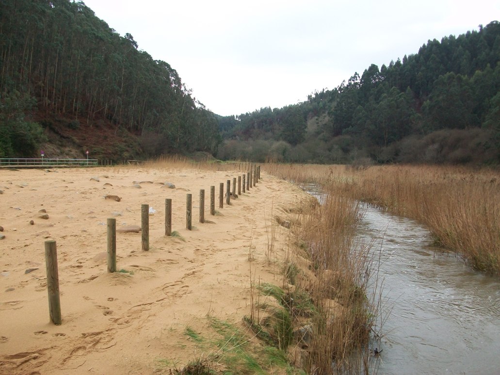 Plan PIMA Adapta. Protección y restauración de la playa de La Ñora.