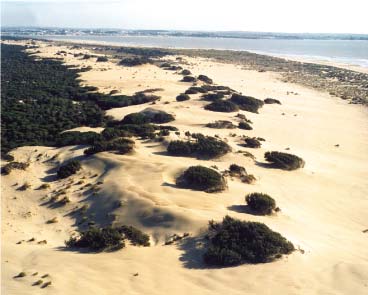 Zona dunar