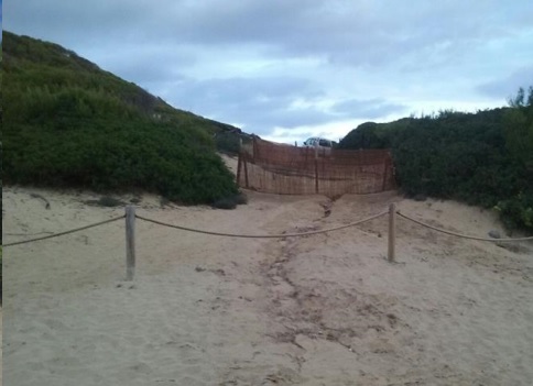 Mantenimiento de playas y sistemas dunares de Baleares 2016