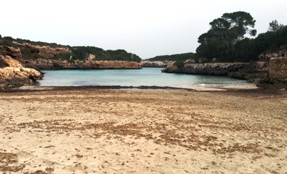 Mantenimiento del litoral de Baleares 2016 
