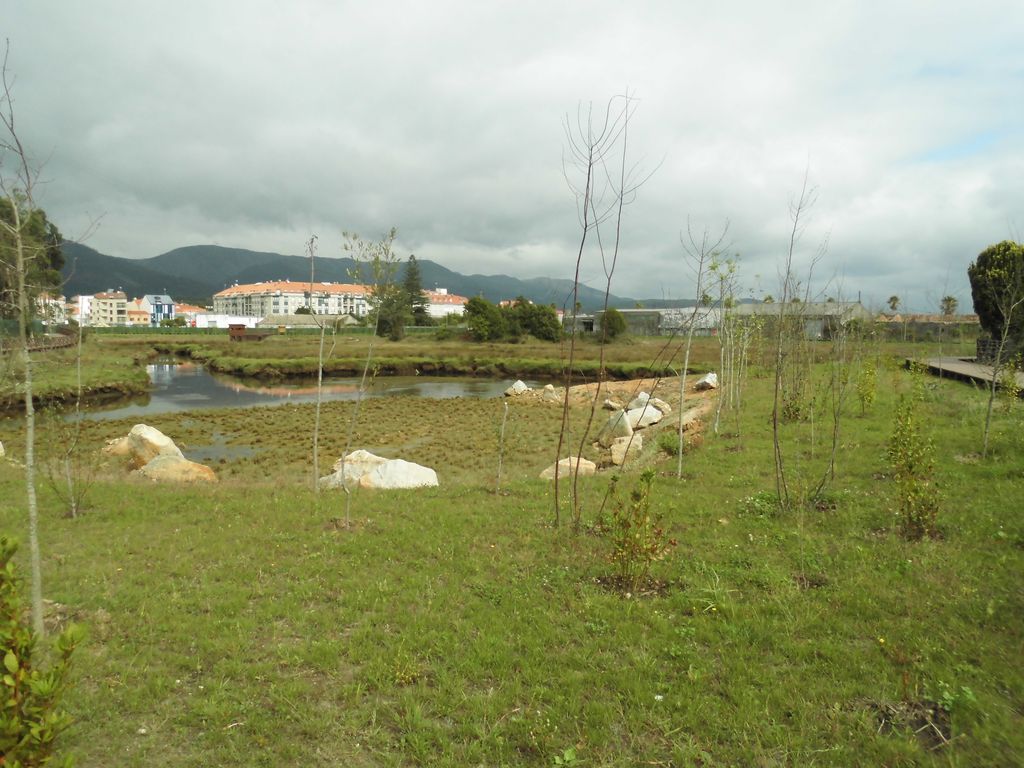 Regeneración ambiental de las marismas de A Xunqueira do Areal, Fase I. Después de las obras