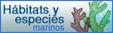 Habitats y especies marinos