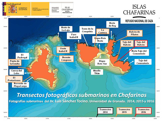 Transectos fotográficos submarinos en Chafarinas 2014-2015-2016