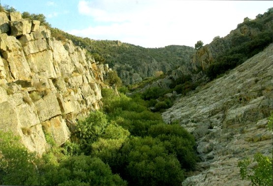 Garganta del río Fresnedas