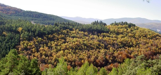 Vista desde el mirador