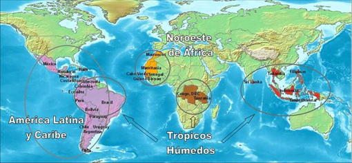 Ámbitos geográfico de actuación