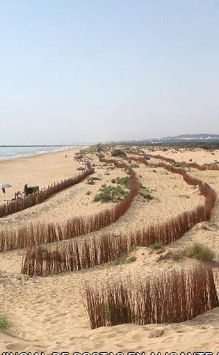 C4.I2. Conservación de la biodiversidad terrestre y marina