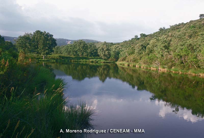 La presa del brezoso facilita agua al parque, sobre todo durante el verano.