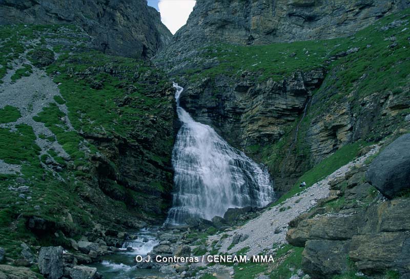 La Cascada Cola de Caballo, es la más espectacular de todas las que origina el río Arazas en el Valle de Ordesa.