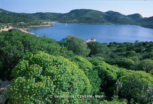 Bahia de Cabrera. El puerto de Cabrera es un gran refugio natural que ha condicionado la historia del Archipiélago.