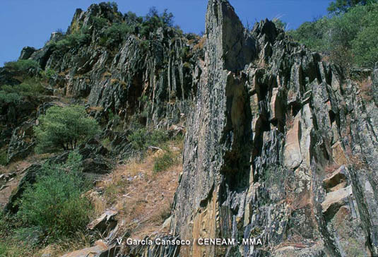 Muchas de las formaciones rocosas de Cabañeros con formas caprichosas y accidentadas, están constituidas por cuarcitas.
