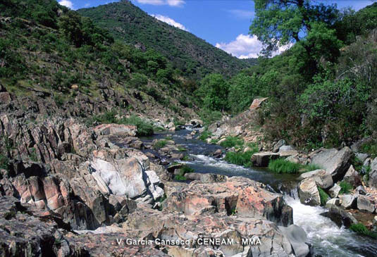 El río Estena recorre el parque y es uno de los afluentes más importantes del rio Guadina en su tramo medio.