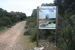 Ruta Sierra de Castellar de los Bueyes