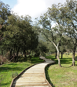 Ruta Camino del Área Recretativa del Acebo y de las Fuentes