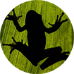 Anfibios y reptiles